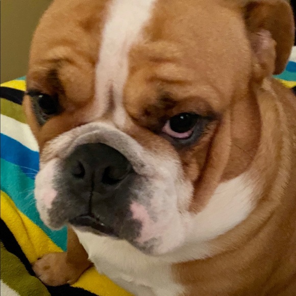 Meet your Posher, Sharon - Picture 1 of 1